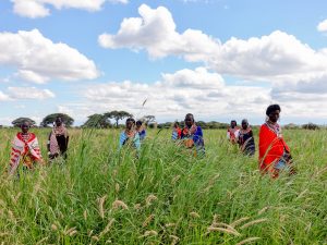 women masai grassseed banks