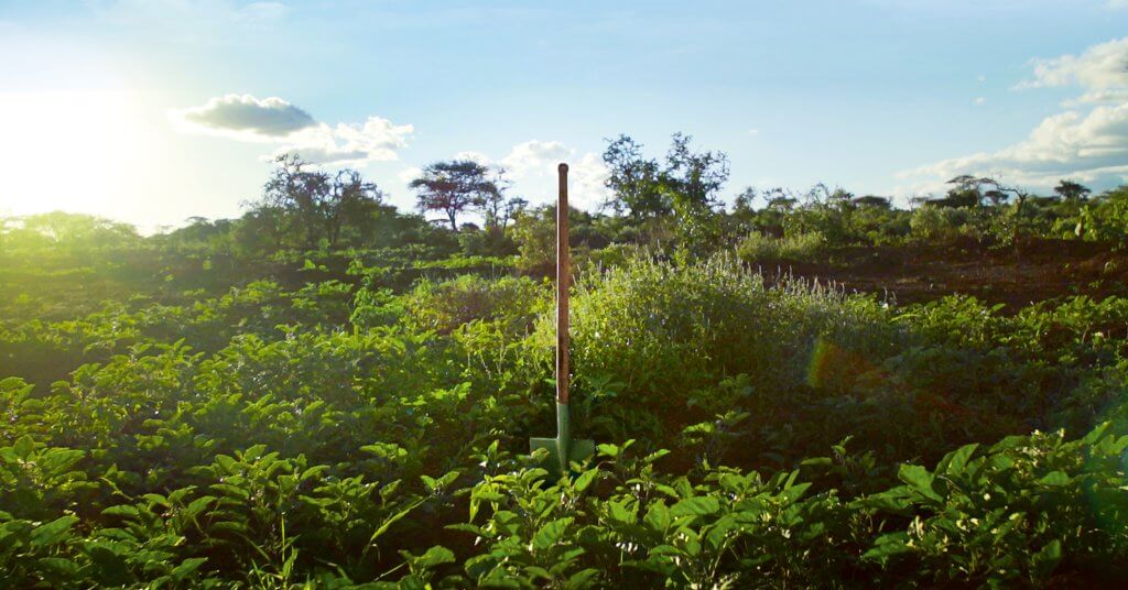 Shovel in green bund