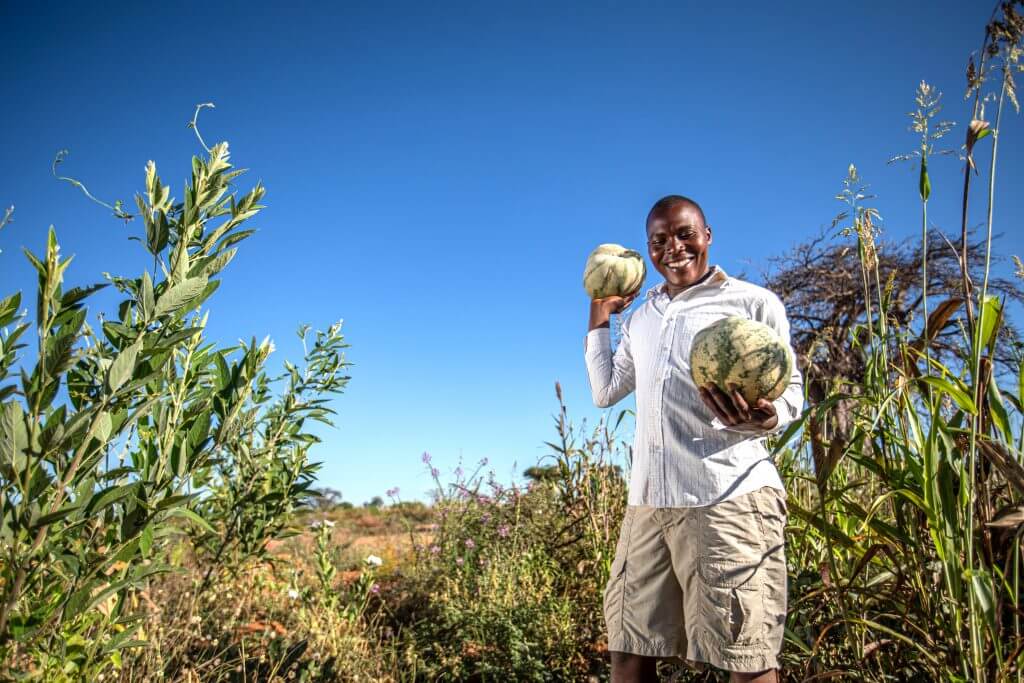 9_Impact_what we do_Justdiggit_vegetation_crops_Manchari site 1-4Tanzania_hans_people_fanya juu_fanya chini_may_2020