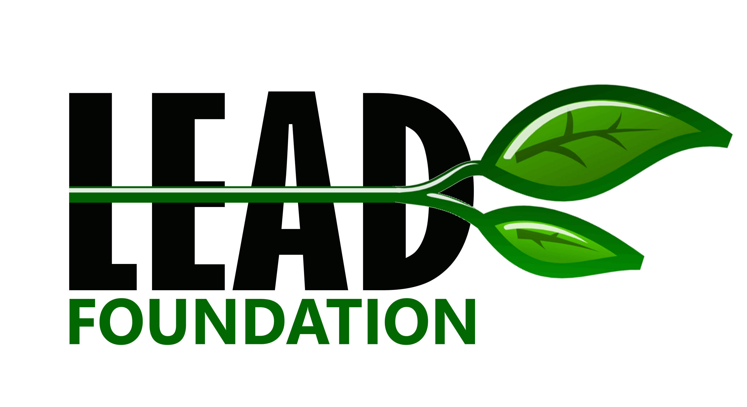 Lead Foundation