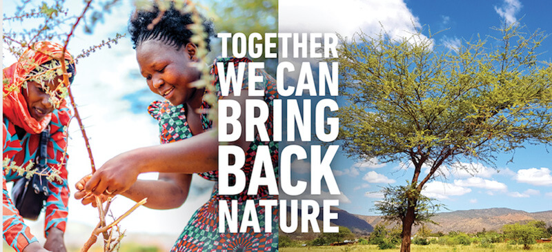 tailormade we can bring back nature