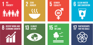 8 SDGs Justdiggit works on