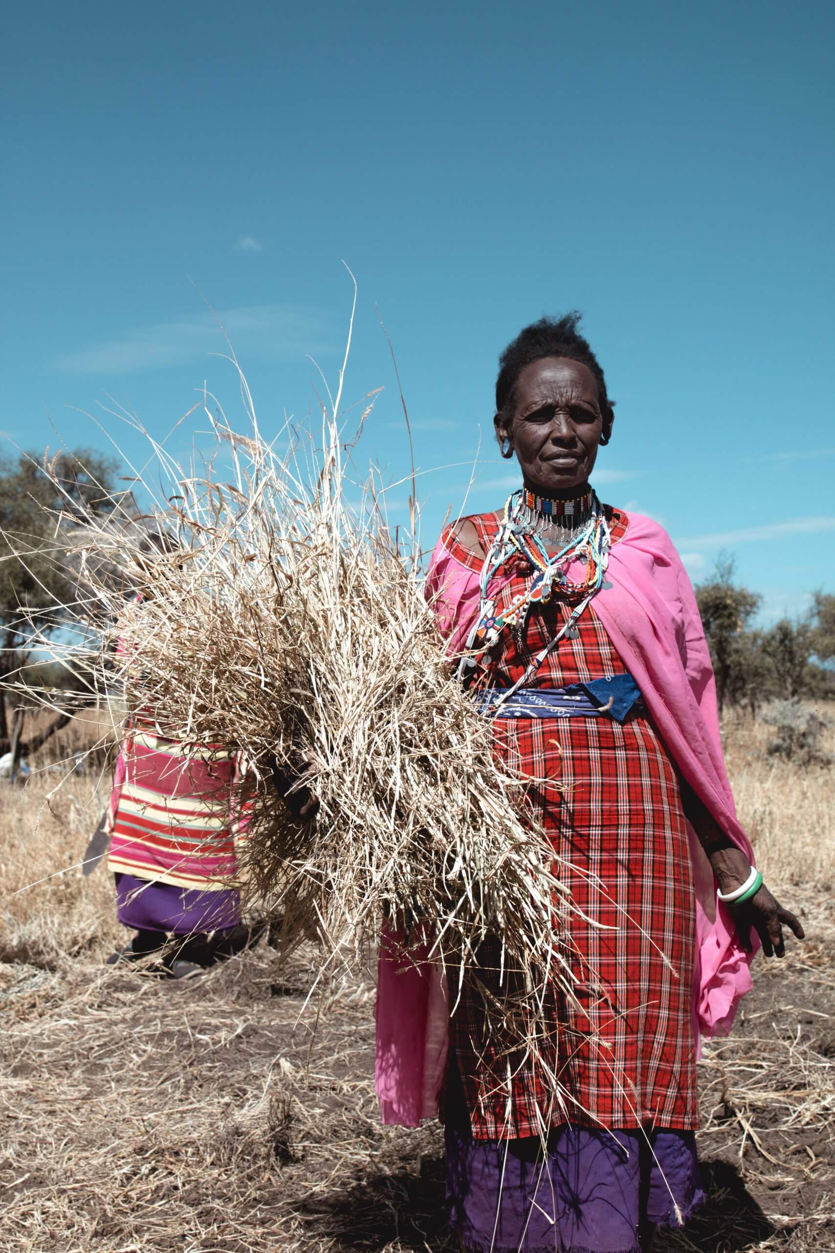 woman grass seed banks