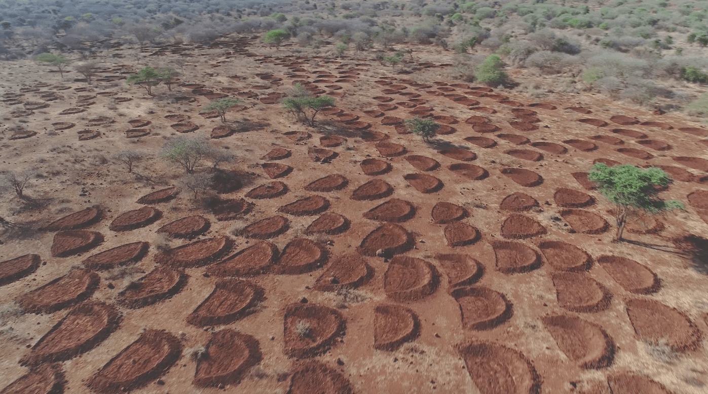 Copy of Schermafbeelding 2020-11-23 om 09.48.57_November_2020_Enkii_Kenya_bunds