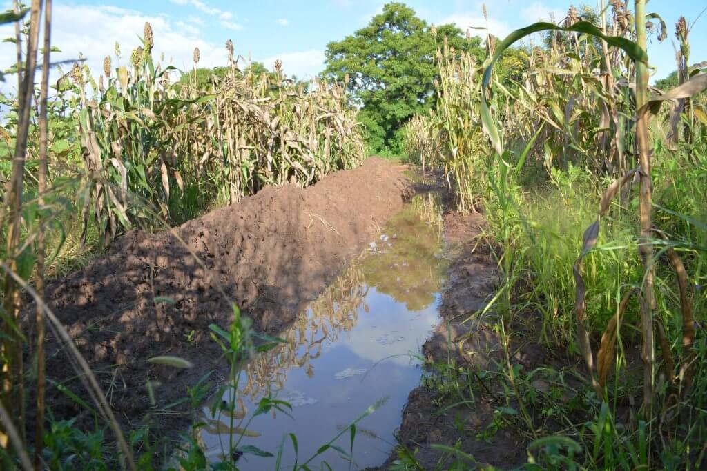 Fanya juu chini filled with water