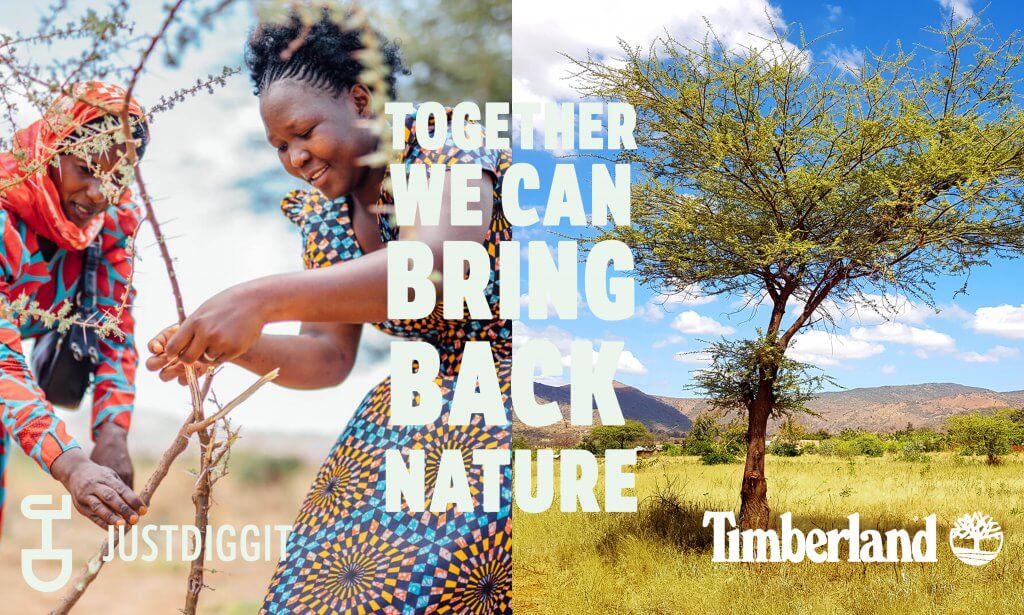 Verenigde Staten van Amerika linnen deeltje Timberland and Justdiggit partnership will bring back 10 million trees in  Tanzania - Justdiggit