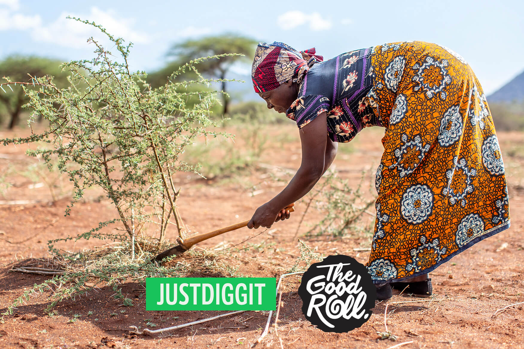 Regreen term paper 08 image