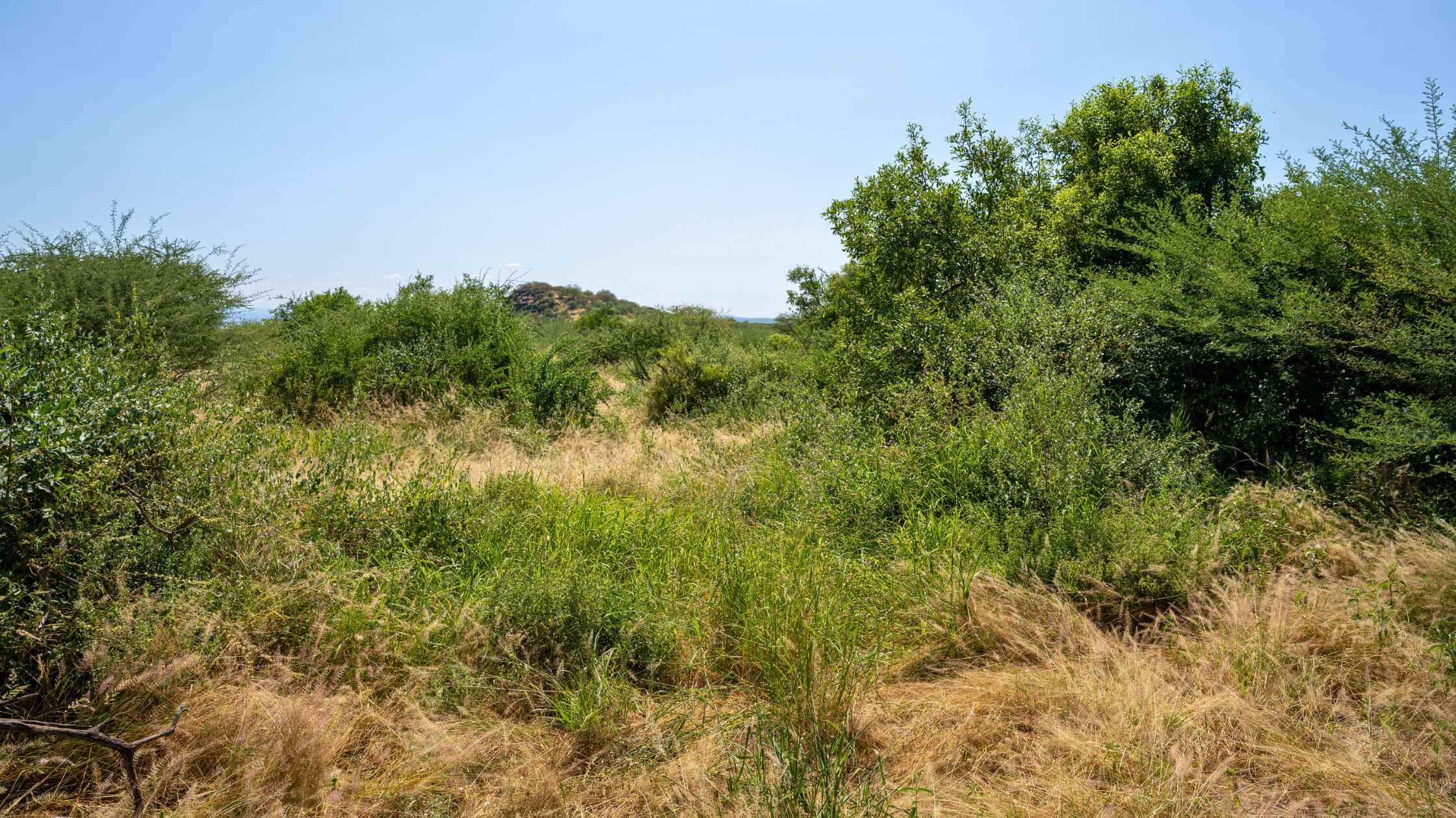 1 Daks fixed point 06 2024 Embirika Valley South Rift _ Kenya (1)