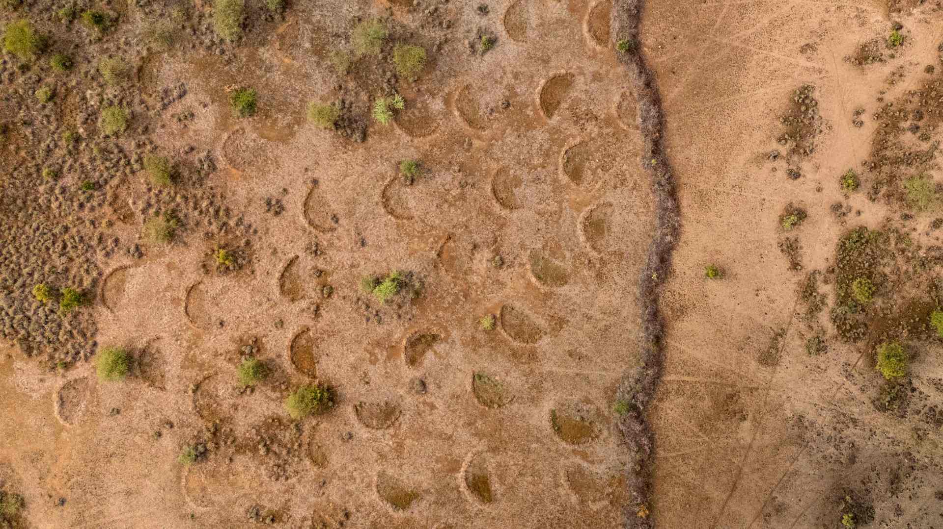 13 drone _ Daks 01 2025 Lenkobei _ Bunds _ Shompole South Rift _ Kenya