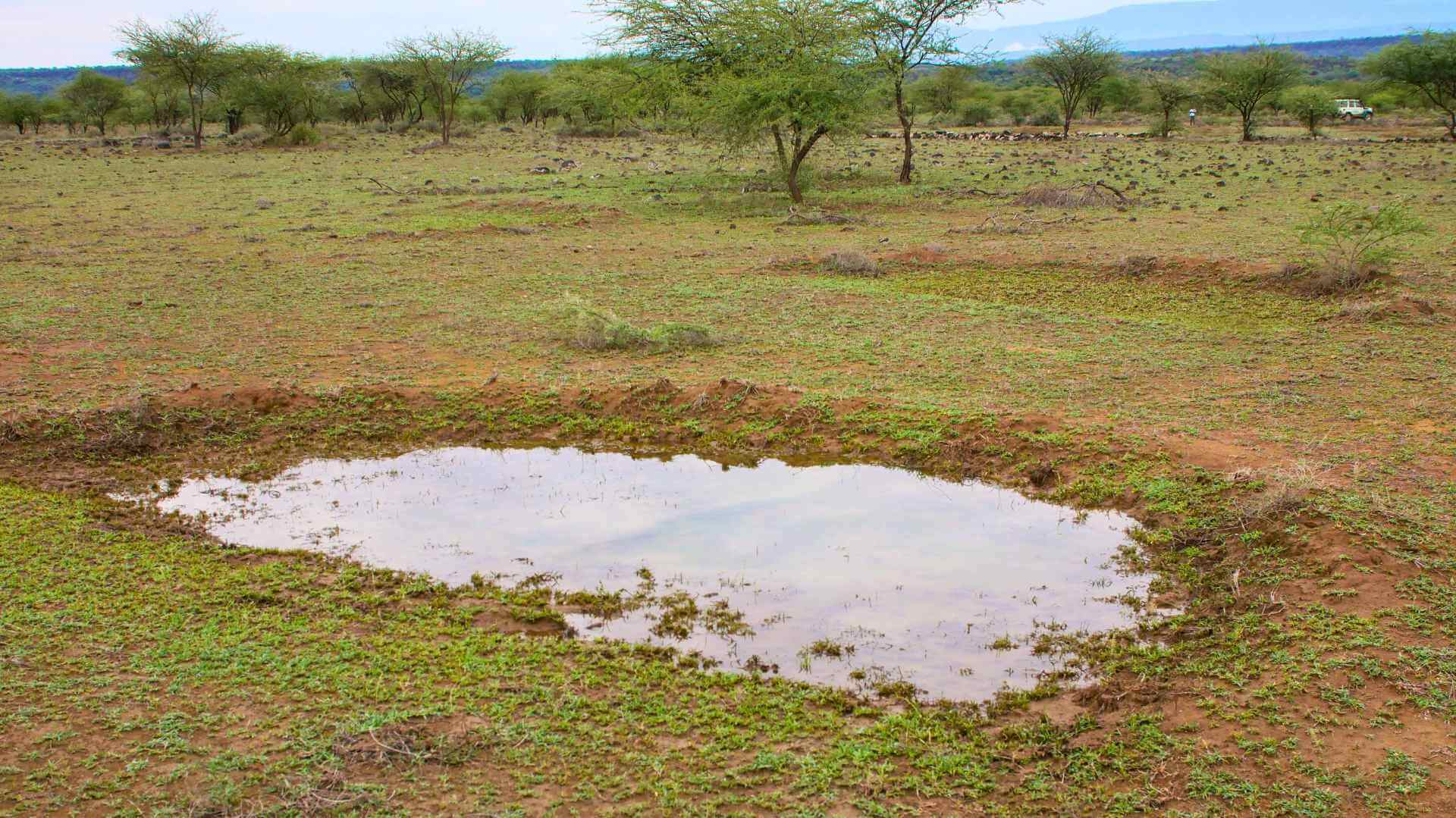4 Daks 01 2025 Oldorko Bunds South Rift _ Kenya