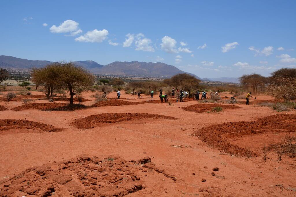 Copy of 11.1 Before_After_ DSC_1840_Pembamoto_Dodoma_Tanzania_january_2021_bunds_grasses_green_godlove_phonephoto_s