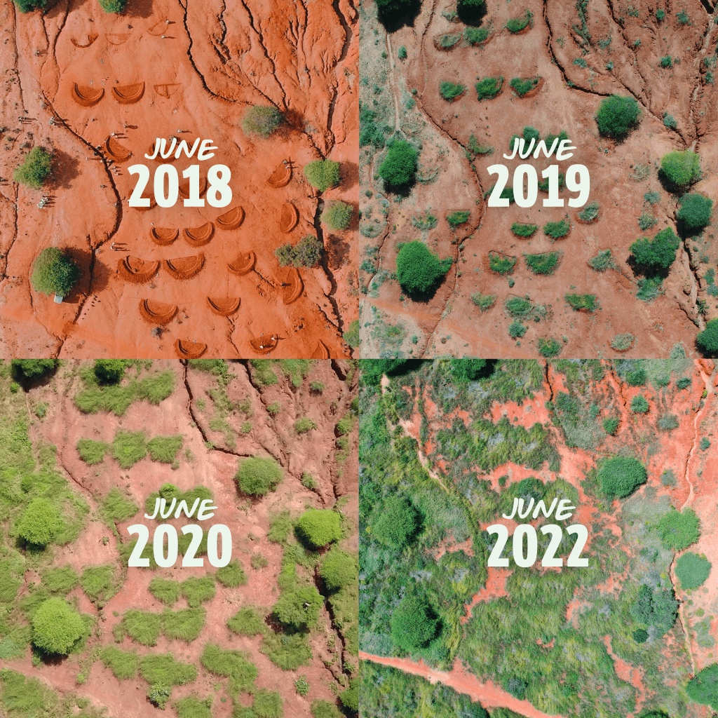 landscape restoration results justdiggit