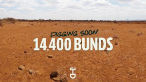 Digging soon 14.400 bunds