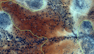 Satellite Image 2
