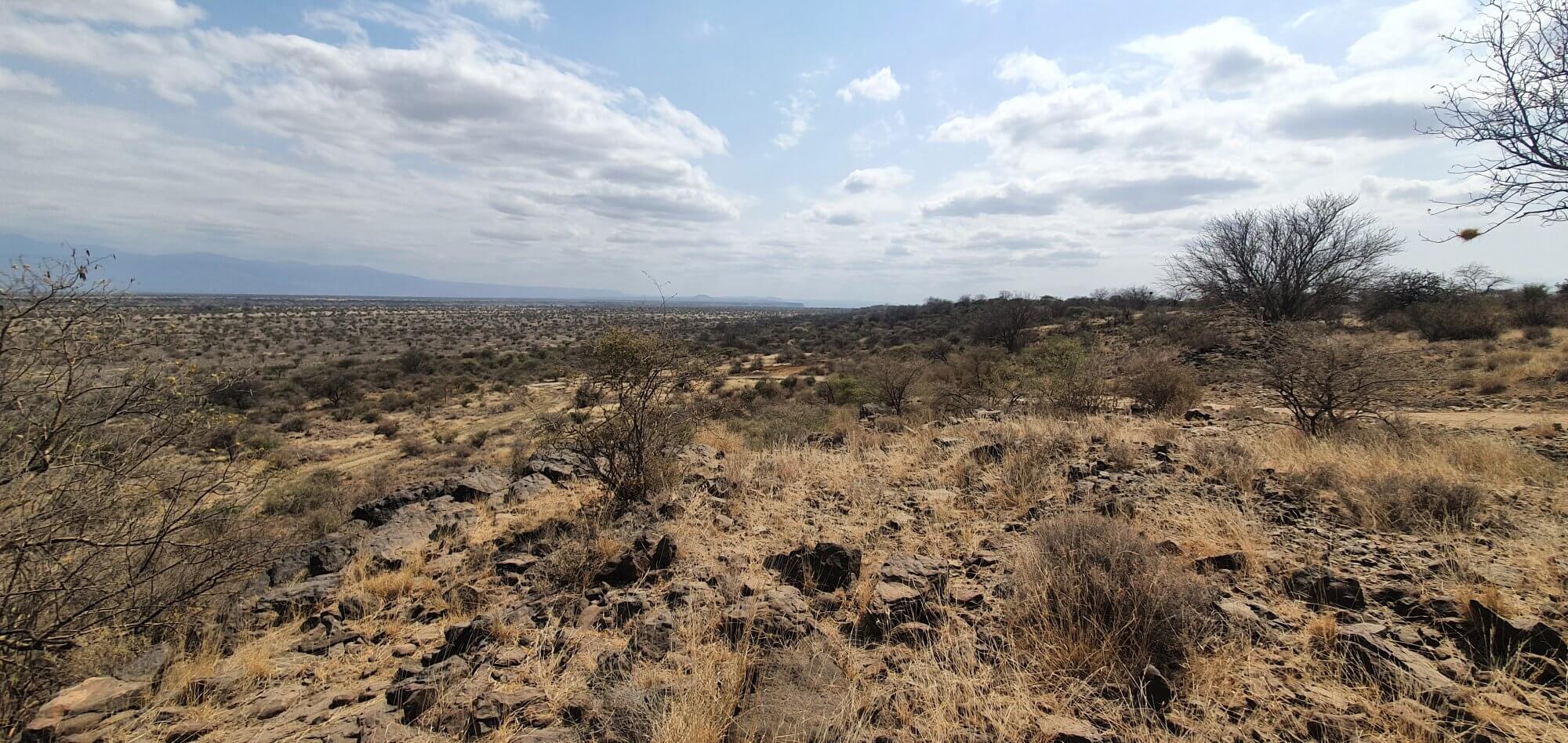 South Rift New regreening program: Kenya’s South Rift Valley - Justdiggit
