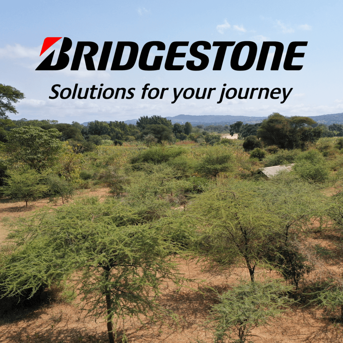Bridgestone 5 jaar