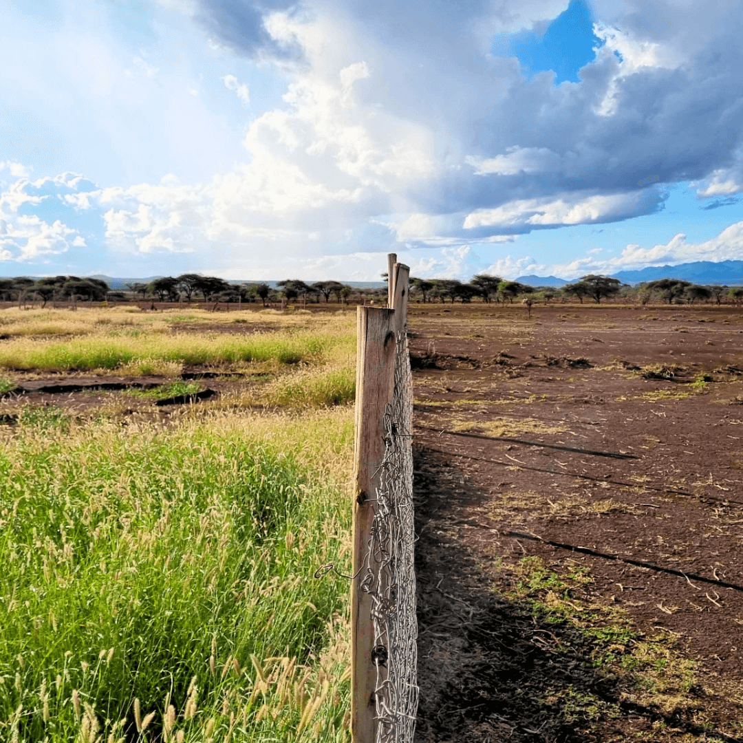 New GSB UNCCD 1 preview