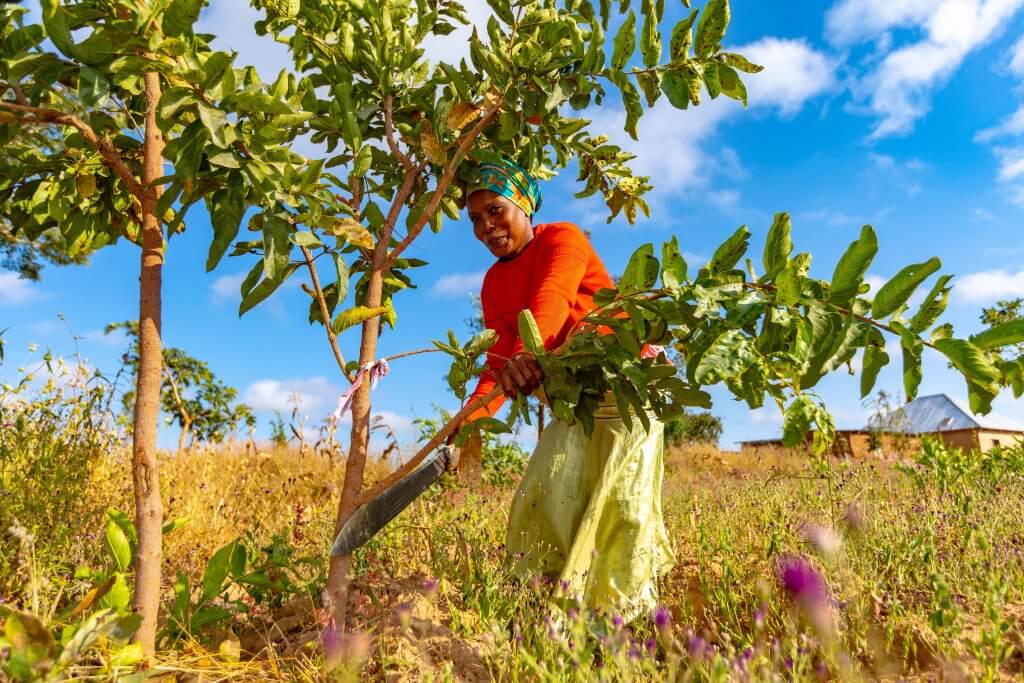 4 Hans action 06 2023 Matare Ikungi _ Singida Tanzania
