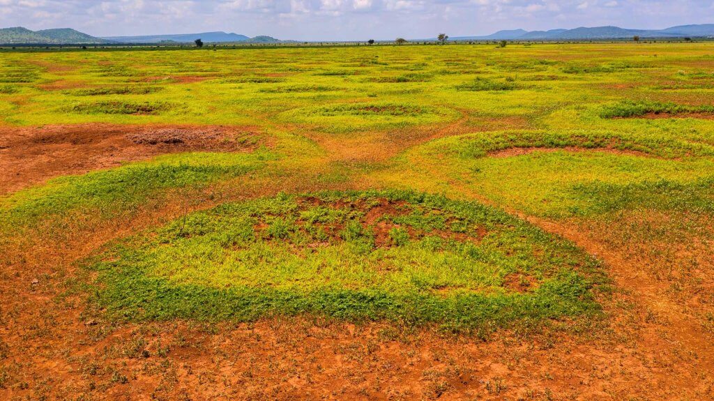 Bunds for B-corp Tanzania