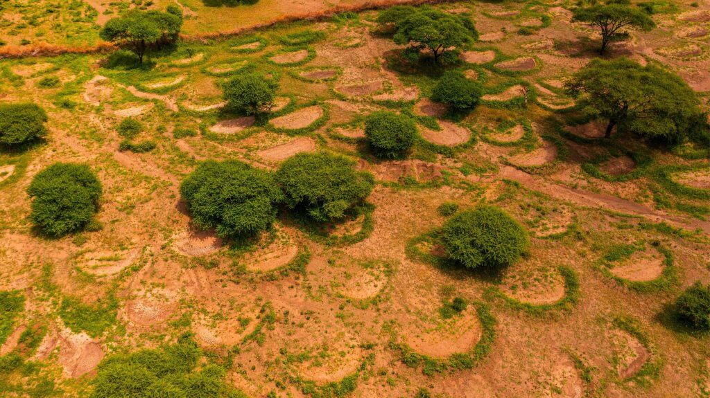 23 Hans drone 12 2023 Bunds Selela Monduli _ Arusha Tanzania