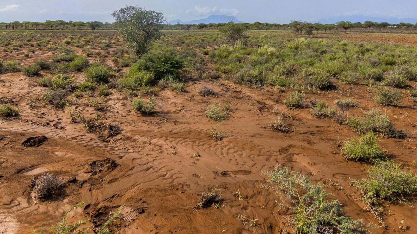 South Rift Almost 500k trees in 6 years: our very first Treecovery project in ...
