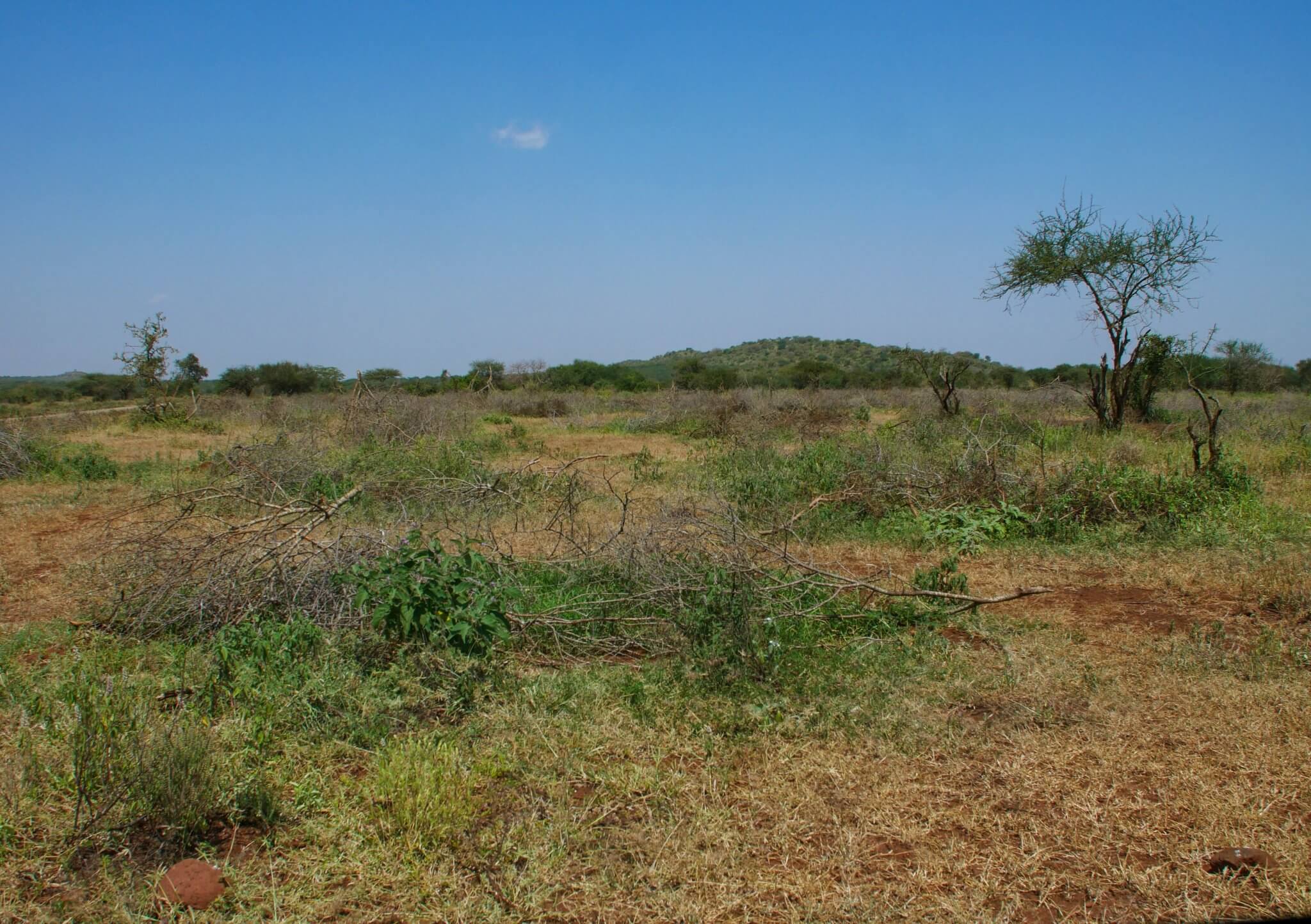 2 fixed point _ Daks 01 2025 Langata _ Bunds _ Kuku Chyulu _ Kenya