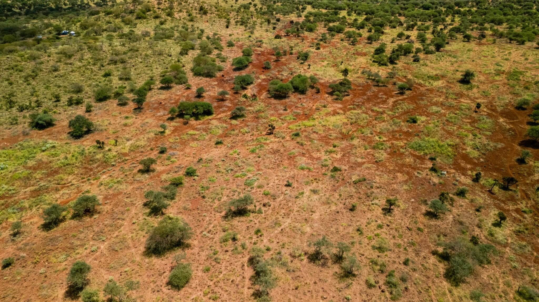 9 drone _ Daks 01 2025 Enkii _ Bunds _ Kuku Chyulu _ Kenya (1)