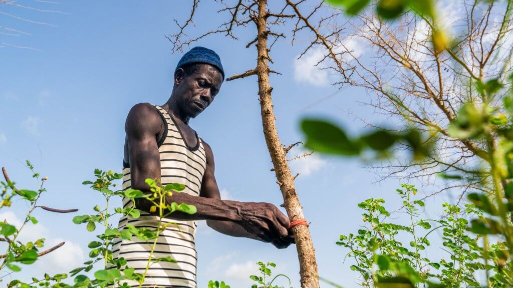 5 10 2024 _ Kisiki Hai _ Ndoffane Fissel _ Senegal