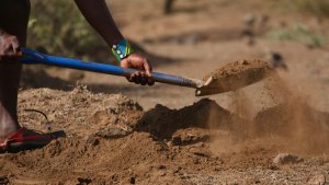 Digging a water bund with a shovel