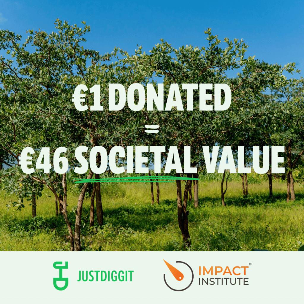 €1 donated = €46 societal value, Justdiggit x Impact Institute