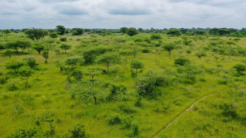 Regreened landscape with Kisiki Hai in Singida, Tanzania, 2025